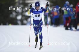 19.01.2019, Otepaeae, Estonia (EST): Daulet Rakhimbayev (KAZ) - FIS world cup cross-country, individual sprint, Otepaeae (EST). www.nordicfocus.com. © Thibaut/NordicFocus. Every downloaded picture is fee-liable.