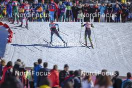16.02.2019, Cogne, Italy (ITA): Delphine Claudel (FRA) - FIS world cup cross-country, individual sprint, Cogne (ITA). www.nordicfocus.com. © Thibaut/NordicFocus. Every downloaded picture is fee-liable.