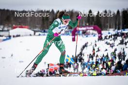 16.03.2019, Falun, Sweden (SWE): Greta Laurent (ITA) - FIS world cup cross-country, individual sprint, Falun (SWE). www.nordicfocus.com. © Modica/NordicFocus. Every downloaded picture is fee-liable.