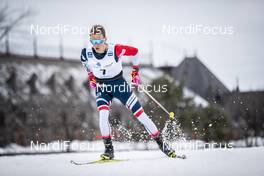 22.03.2019, Quebec, Canada (CAN): Didrik Toenseth (NOR) - FIS world cup cross-country, individual sprint, Quebec (CAN). www.nordicfocus.com. © Modica/NordicFocus. Every downloaded picture is fee-liable.