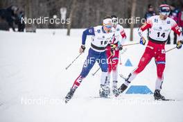 22.03.2019, Quebec, Canada (CAN): Andrew Musgrave (GBR) - FIS world cup cross-country, individual sprint, Quebec (CAN). www.nordicfocus.com. © Modica/NordicFocus. Every downloaded picture is fee-liable.