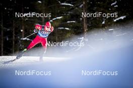 31.12.2019, Toblach, Italy (ITA): Michail Semenov (BLR) - FIS world cup cross-country, tour de ski, 10km women, Toblach (ITA). www.nordicfocus.com. © Modica/NordicFocus. Every downloaded picture is fee-liable.