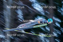 16.02.2019 Willingen, Germany (GER): Michael Hayboeck (AUT) - FIS world cup ski jumping, individual HS145, Willingen (GER). www.nordicfocus.com. © Volk/NordicFocus. Every downloaded picture is fee-liable.