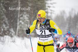 03.03.2019, Mora, Sweden (SWE): Tore Bjoerset Berdal (NOR) - Visma Ski Classics and FIS Marathon Cup Vasaloppet, Mora (SWE). www.nordicfocus.com. © Manzoni/NordicFocus. Every downloaded picture is fee-liable.