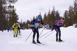 13.04.2019, Levi, Finland (FIN): Anders Moelmen Hoest (NOR) - Visma Ski Classics Yllaes-Levi, Levi (FIN). www.nordicfocus.com. © Manzoni/NordicFocus. Every downloaded picture is fee-liable.