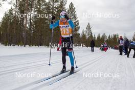 13.04.2019, Levi, Finland (FIN): Laila Kveli (NOR) - Visma Ski Classics Yllaes-Levi, Levi (FIN). www.nordicfocus.com. © Nico Manzoni/NordicFocus. Every downloaded picture is fee-liable.
