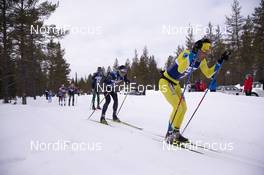 13.04.2019, Levi, Finland (FIN): Tore Bjoerseth Berdal (NOR) - Visma Ski Classics Yllaes-Levi, Levi (FIN). www.nordicfocus.com. © Christian Manzoni/NordicFocus. Every downloaded picture is fee-liable.