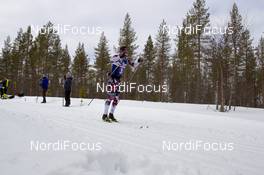 13.04.2019, Levi, Finland (FIN): Morten Eide Pedersen (NOR) - Visma Ski Classics Yllaes-Levi, Levi (FIN). www.nordicfocus.com. © Nico Manzoni/NordicFocus. Every downloaded picture is fee-liable.
