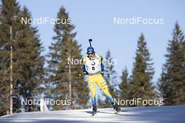 23.01.2020, Pokljuka, Slovenia (SLO): Peppe Femling (SWE) -  IBU world cup biathlon, individual men, Pokljuka (SLO). www.nordicfocus.com. © Manzoni/NordicFocus. Every downloaded picture is fee-liable.