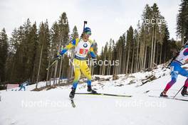 25.01.2020, Pokljuka, Slovenia (SLO): Peppe Femling (SWE) -  IBU world cup biathlon, relay mixed, Pokljuka (SLO). www.nordicfocus.com. © Manzoni/NordicFocus. Every downloaded picture is fee-liable.