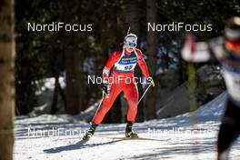 18.02.2020, Antholz, Italy (ITA): Sarah Beaudry (CAN) - IBU World Championships Biathlon, individual women, Antholz (ITA). www.nordicfocus.com. © Modica/NordicFocus. Every downloaded picture is fee-liable.