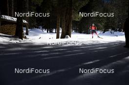 16.02.2020, Antholz, Italy (ITA): Tarjei Boe (NOR) - IBU World Championships Biathlon, pursuit men, Antholz (ITA). www.nordicfocus.com. © Modica/NordicFocus. Every downloaded picture is fee-liable.