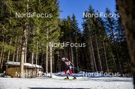 22.02.2020, Antholz, Italy (ITA): Tarjei Boe (NOR) - IBU World Championships Biathlon, relay men, Antholz (ITA). www.nordicfocus.com. © Modica/NordicFocus. Every downloaded picture is fee-liable.