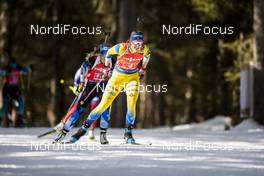 22.02.2020, Antholz, Italy (ITA): Elvira Oeberg (SWE) - IBU World Championships Biathlon, relay women, Antholz (ITA). www.nordicfocus.com. © Modica/NordicFocus. Every downloaded picture is fee-liable.