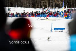 14.02.2020, Antholz, Italy (ITA): Karoline Offigstad Knotten (NOR) - IBU World Championships Biathlon, sprint women, Antholz (ITA). www.nordicfocus.com. © Modica/NordicFocus. Every downloaded picture is fee-liable.