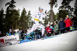08.02.2020, Falun, Sweden (SWE): Martin Bergstroem (SWE) - FIS world cup cross-country, individual sprint, Falun (SWE). www.nordicfocus.com. © Modica/NordicFocus. Every downloaded picture is fee-liable.