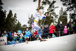08.02.2020, Falun, Sweden (SWE): Jonna Sundling (SWE) - FIS world cup cross-country, individual sprint, Falun (SWE). www.nordicfocus.com. © Modica/NordicFocus. Every downloaded picture is fee-liable.
