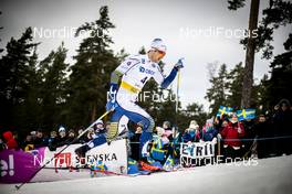 08.02.2020, Falun, Sweden (SWE): Teodor Peterson (SWE) - FIS world cup cross-country, individual sprint, Falun (SWE). www.nordicfocus.com. © Modica/NordicFocus. Every downloaded picture is fee-liable.
