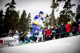 08.02.2020, Falun, Sweden (SWE): Lauri Vuorinen (FIN) - FIS world cup cross-country, individual sprint, Falun (SWE). www.nordicfocus.com. © Modica/NordicFocus. Every downloaded picture is fee-liable.