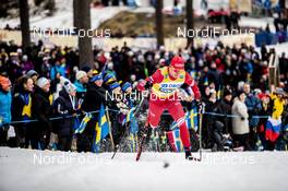 08.02.2020, Falun, Sweden (SWE): Alexander Bolshunov (RUS) - FIS world cup cross-country, individual sprint, Falun (SWE). www.nordicfocus.com. © Modica/NordicFocus. Every downloaded picture is fee-liable.