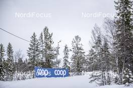 20.02.2020, Storlien-Meraker, Norway (NOR): Coop Feature - FIS world cup cross-country, mass women, Storlien-Meraker (NOR). www.nordicfocus.com. © Thibaut/NordicFocus. Every downloaded picture is fee-liable.