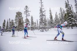 20.02.2020, Storlien-Meraker, Norway (NOR): Nadine Faehndrich (SUI) - FIS world cup cross-country, mass women, Storlien-Meraker (NOR). www.nordicfocus.com. © Thibaut/NordicFocus. Every downloaded picture is fee-liable.