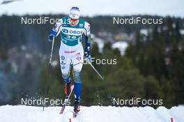 22.02.2020, Trondheim, Norway (NOR): Teodor Peterson (SWE) - FIS world cup cross-country, individual sprint, Trondheim (NOR). www.nordicfocus.com. © Thibaut/NordicFocus. Every downloaded picture is fee-liable.