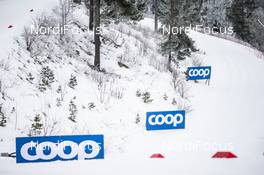 07.03.2020, Oslo, Norway (NOR): Coop   - FIS world cup cross-country, mass women, Oslo (NOR). www.nordicfocus.com. © Modica/NordicFocus. Every downloaded picture is fee-liable.