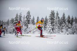 29.11.2020, Ruka, Finland (FIN): Pia Fink (GER) - FIS world cup cross-country, pursuit women, Ruka (FIN). www.nordicfocus.com. © Modica/NordicFocus. Every downloaded picture is fee-liable.