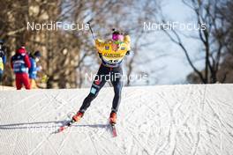 19.12.2020, Dresden, Germany (GER): Anian Sossau (GER) - FIS world cup cross-country, individual sprint, Dresden (GER). www.nordicfocus.com. © Modica/NordicFocus. Every downloaded picture is fee-liable.