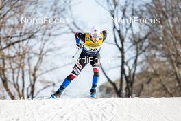 19.12.2020, Dresden, Germany (GER): Michal Novak (CZE) - FIS world cup cross-country, individual sprint, Dresden (GER). www.nordicfocus.com. © Modica/NordicFocus. Every downloaded picture is fee-liable.