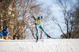 19.12.2020, Dresden, Germany (GER): Mark Pollock (AUS) - FIS world cup cross-country, individual sprint, Dresden (GER). www.nordicfocus.com. © Modica/NordicFocus. Every downloaded picture is fee-liable.