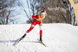 19.12.2020, Dresden, Germany (GER): Piotr Sobiczewski (POL) - FIS world cup cross-country, individual sprint, Dresden (GER). www.nordicfocus.com. © Modica/NordicFocus. Every downloaded picture is fee-liable.