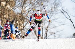 19.12.2020, Dresden, Germany (GER): Petra Novakova (CZE) - FIS world cup cross-country, individual sprint, Dresden (GER). www.nordicfocus.com. © Modica/NordicFocus. Every downloaded picture is fee-liable.