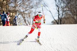 19.12.2020, Dresden, Germany (GER): Magdalena Kobielusz (POL) - FIS world cup cross-country, individual sprint, Dresden (GER). www.nordicfocus.com. © Modica/NordicFocus. Every downloaded picture is fee-liable.