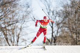 19.12.2020, Dresden, Germany (GER): Nataliya Mekryukova (RUS) - FIS world cup cross-country, individual sprint, Dresden (GER). www.nordicfocus.com. © Modica/NordicFocus. Every downloaded picture is fee-liable.