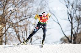 19.12.2020, Dresden, Germany (GER): Jessica Loeschke (GER) - FIS world cup cross-country, individual sprint, Dresden (GER). www.nordicfocus.com. © Modica/NordicFocus. Every downloaded picture is fee-liable.