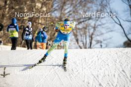 19.12.2020, Dresden, Germany (GER): Oleksii Krasovskyi (UKR) - FIS world cup cross-country, individual sprint, Dresden (GER). www.nordicfocus.com. © Modica/NordicFocus. Every downloaded picture is fee-liable.