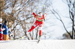 19.12.2020, Dresden, Germany (GER): Weronika Kaleta (POL) - FIS world cup cross-country, individual sprint, Dresden (GER). www.nordicfocus.com. © Modica/NordicFocus. Every downloaded picture is fee-liable.