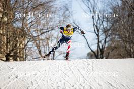 19.12.2020, Dresden, Germany (GER): Gus Schumacher (USA) - FIS world cup cross-country, individual sprint, Dresden (GER). www.nordicfocus.com. © Modica/NordicFocus. Every downloaded picture is fee-liable.