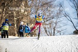 19.12.2020, Dresden, Germany (GER): Jan Koristek (SVK) - FIS world cup cross-country, individual sprint, Dresden (GER). www.nordicfocus.com. © Modica/NordicFocus. Every downloaded picture is fee-liable.