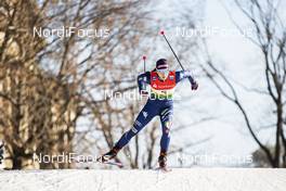 19.12.2020, Dresden, Germany (GER): Greta Laurent (ITA) - FIS world cup cross-country, individual sprint, Dresden (GER). www.nordicfocus.com. © Modica/NordicFocus. Every downloaded picture is fee-liable.