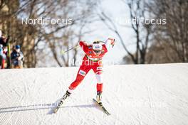 19.12.2020, Dresden, Germany (GER): Monika Skinder (POL) - FIS world cup cross-country, individual sprint, Dresden (GER). www.nordicfocus.com. © Modica/NordicFocus. Every downloaded picture is fee-liable.