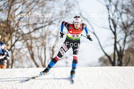19.12.2020, Dresden, Germany (GER): Petra Hyncicova (CZE) - FIS world cup cross-country, individual sprint, Dresden (GER). www.nordicfocus.com. © Modica/NordicFocus. Every downloaded picture is fee-liable.