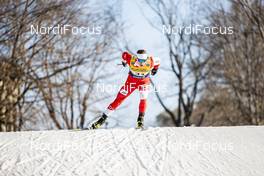 19.12.2020, Dresden, Germany (GER): Maciej Starega (POL) - FIS world cup cross-country, individual sprint, Dresden (GER). www.nordicfocus.com. © Modica/NordicFocus. Every downloaded picture is fee-liable.