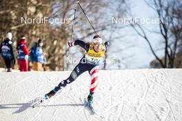 19.12.2020, Dresden, Germany (GER): Simeon Hamilton (USA) - FIS world cup cross-country, individual sprint, Dresden (GER). www.nordicfocus.com. © Modica/NordicFocus. Every downloaded picture is fee-liable.