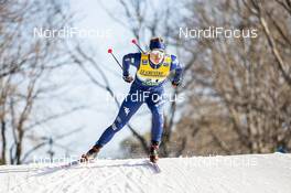 19.12.2020, Dresden, Germany (GER): Michael Hellweger (ITA) - FIS world cup cross-country, individual sprint, Dresden (GER). www.nordicfocus.com. © Modica/NordicFocus. Every downloaded picture is fee-liable.