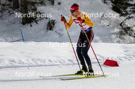 01.02.2020, Seefeld, Austria (AUT): Terence Weber (GER) - FIS world cup nordic combined, individual gundersen HS109/10km, Seefeld (AUT). www.nordicfocus.com. © Volk/NordicFocus. Every downloaded picture is fee-liable.