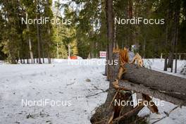 21.03.2021, Oestersund, Sweden, (SWE): Feature: Track atmosphere with a broken tree next to the track - IBU World Cup Biathlon, training, Oestersund (SWE). www.nordicfocus.com. © Manzoni/NordicFocus. Every downloaded picture is fee-liable.
