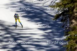 17.02.2021, Pokljuka, Slovenia (SLO): Martin Ponsiluoma (SWE) - IBU World Championships Biathlon, individual men, Pokljuka (SLO). www.nordicfocus.com. © Manzoni/NordicFocus. Every downloaded picture is fee-liable.